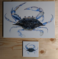 Crab Tiles Custom Printed with Pictures on Tiles